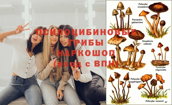 кокаин Козловка