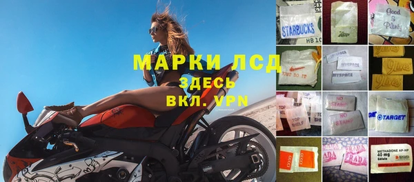 спиды Кодинск