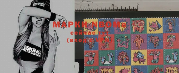 мдпв Коряжма