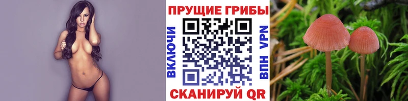 Купить закладки  Белогорск  Галлюциногенные грибы мухоморы 